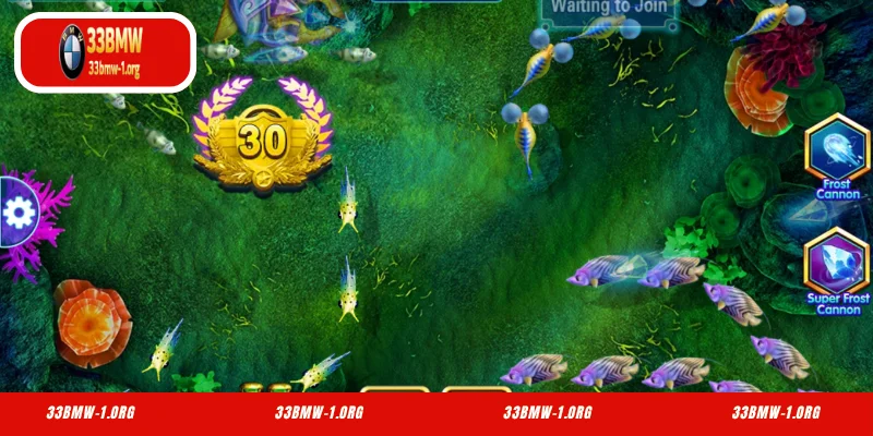 High-Success Techniques for 33BMW Fishing