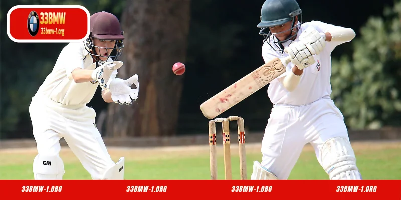 How Experts Effectively Predict Cricket on 33BMW