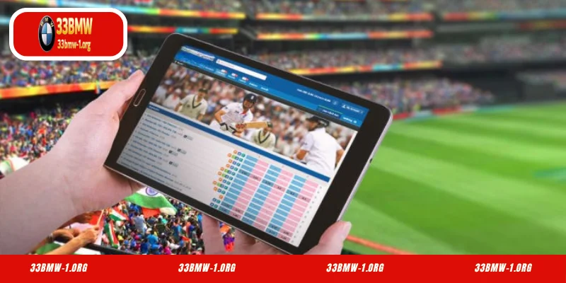 Overview of 33BMW Cricket Predictions