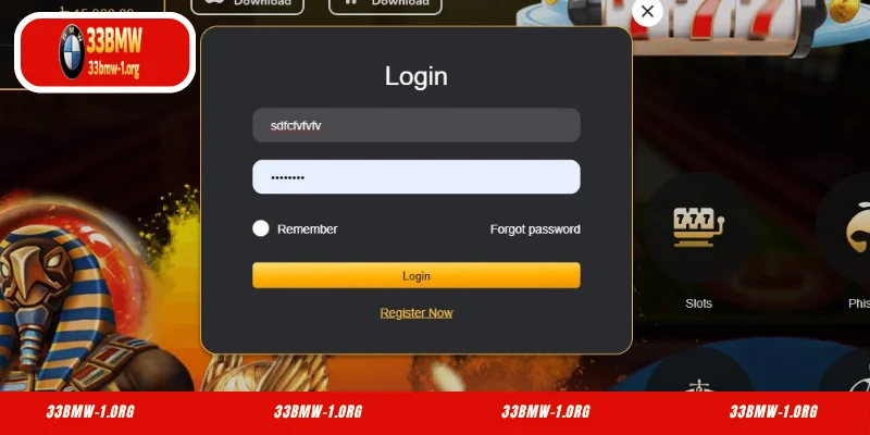 Requirements for Login 33BMW